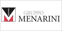 Gruppo Menarini